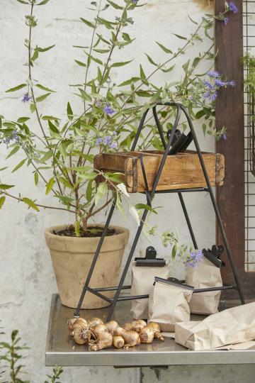 Ziegelform mit 3 Fächern UNIKA - athomewithpaula