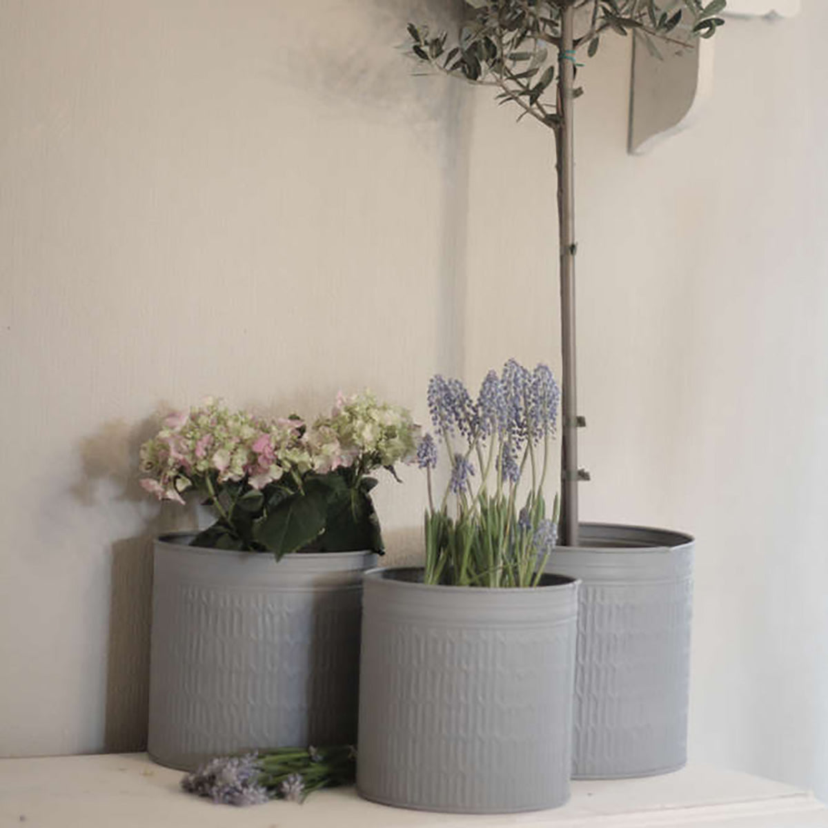 Zinktöpfe im 3er Set - athomewithpaula