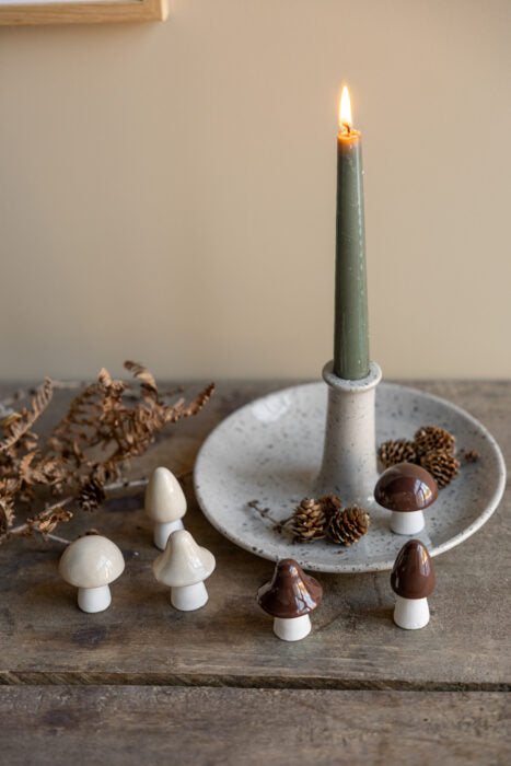 Storefactory Bohult Pilz