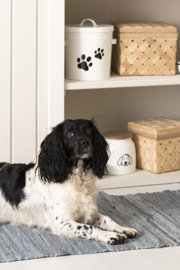 Dose für Hundefutter weiss mit Hundemotiv