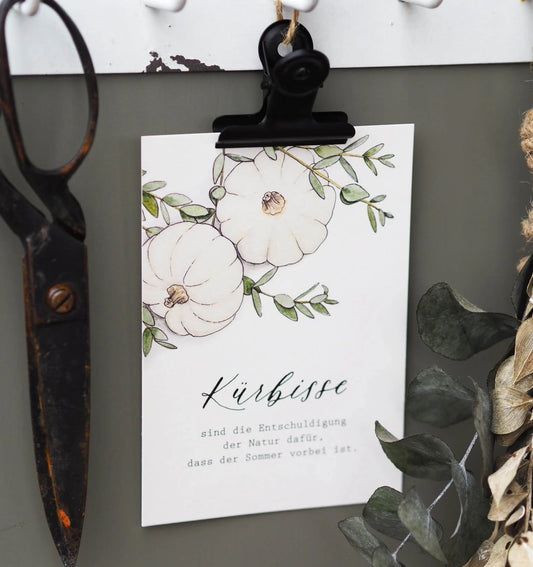 Postkarte A6 "KÜRBISSE"