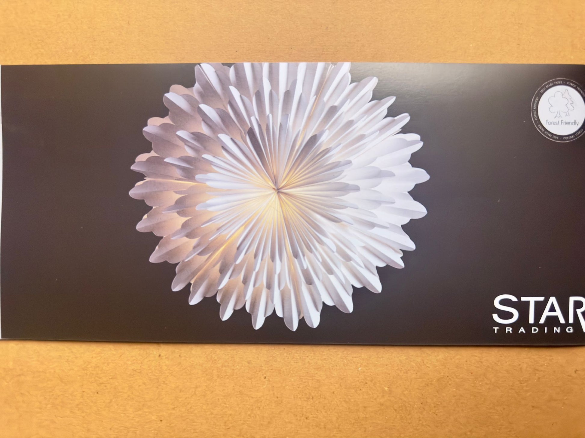 Snow Stern hängend - athomewithpaula