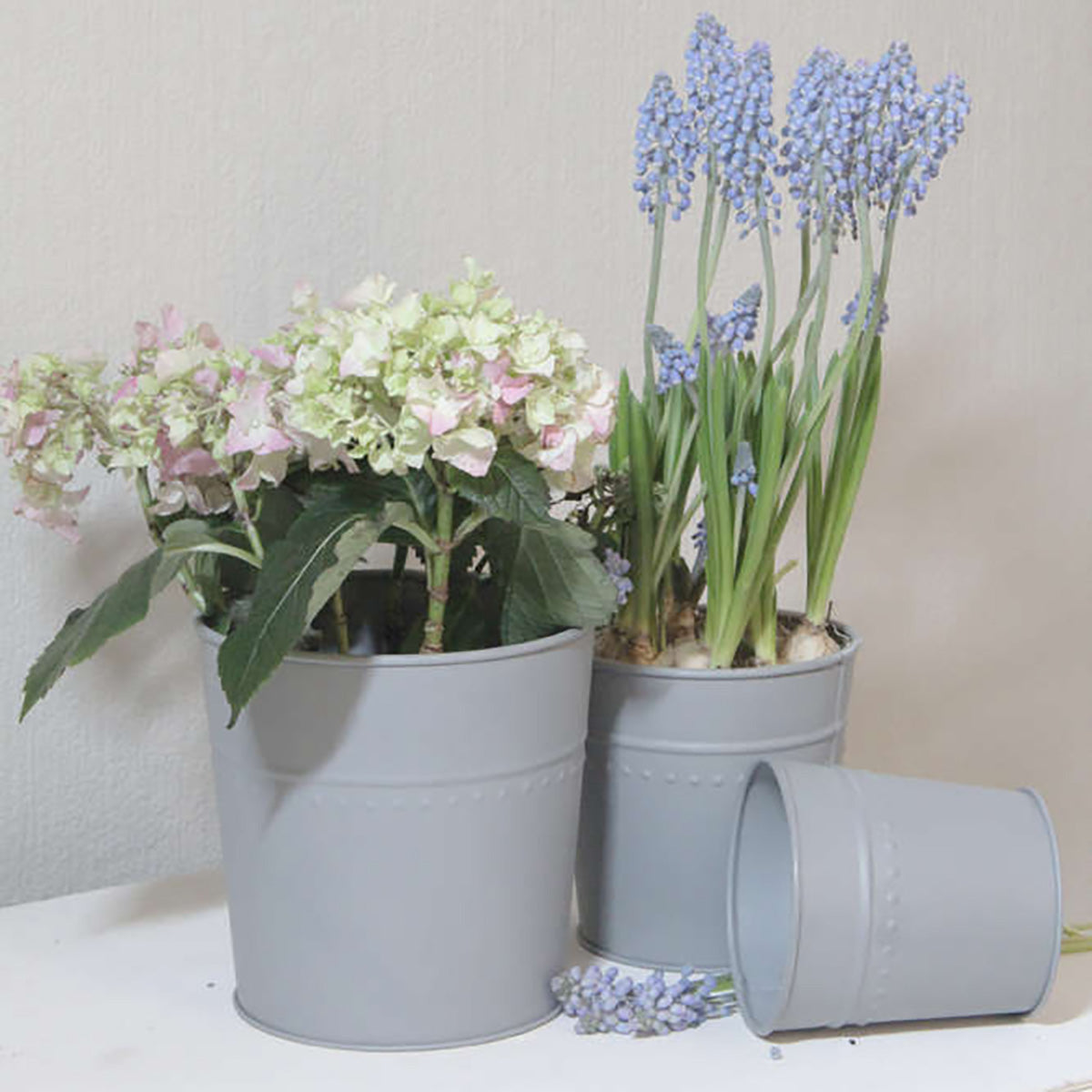 Kleine Zinktöpfe im 3er Set - athomewithpaula