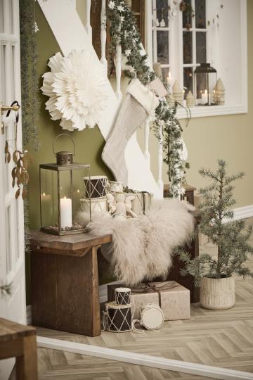 Zeder unecht im Plastiktopf