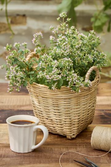 Vietnamkorb von Ib Laursen aus Bambus mit Griffen