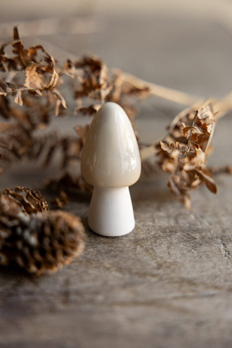 Storefactory Bohult Pilz