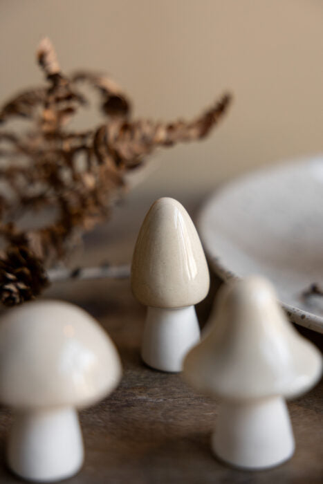 Storefactory Bohult Pilz