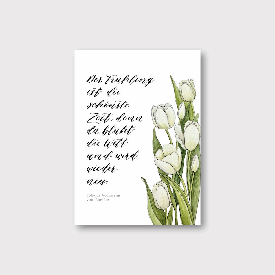 Postkarte „Tulpen“