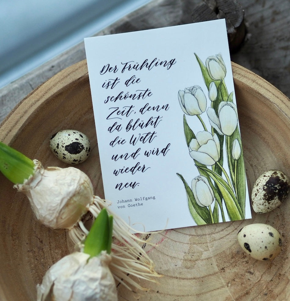 Postkarte „Tulpen“